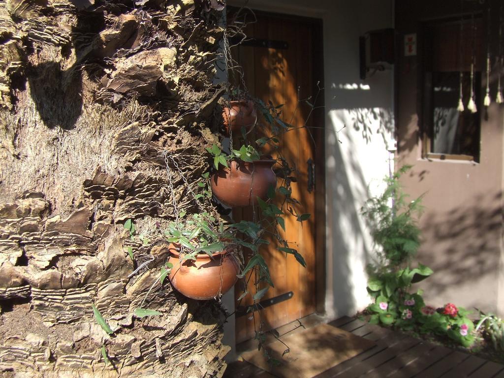 Hosteria Pascana San Salvador de Jujuy Bagian luar foto