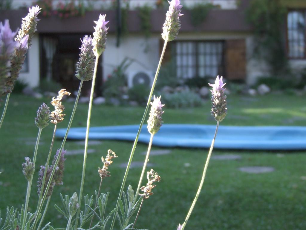 Hosteria Pascana San Salvador de Jujuy Bagian luar foto