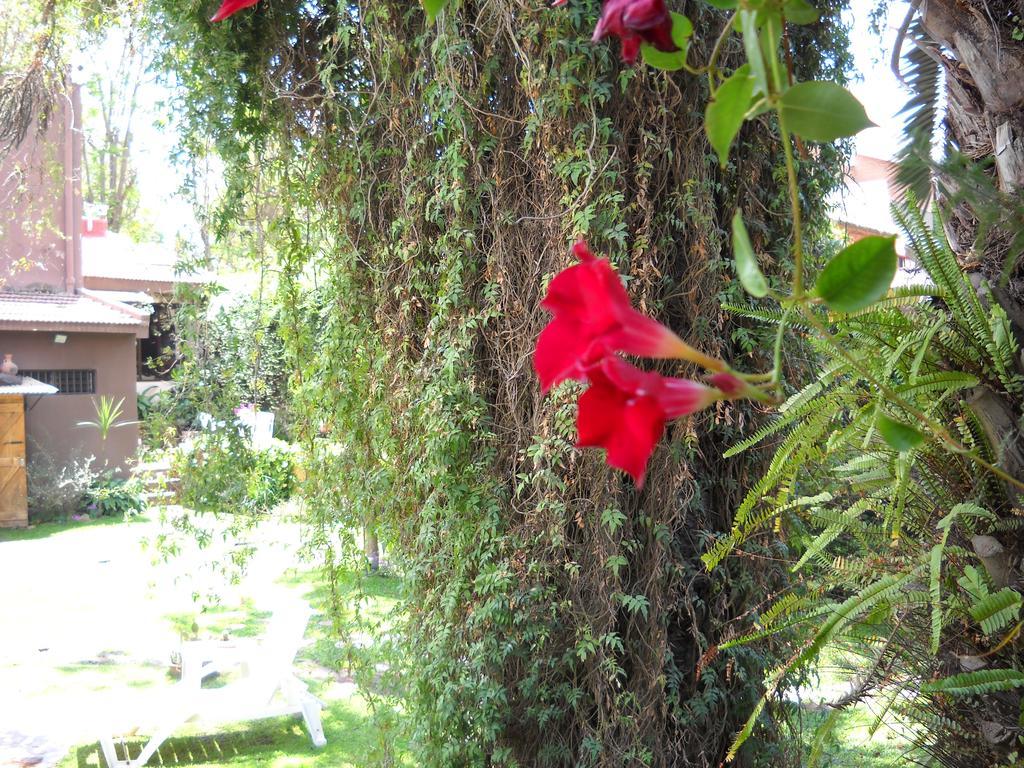 Hosteria Pascana San Salvador de Jujuy Bagian luar foto