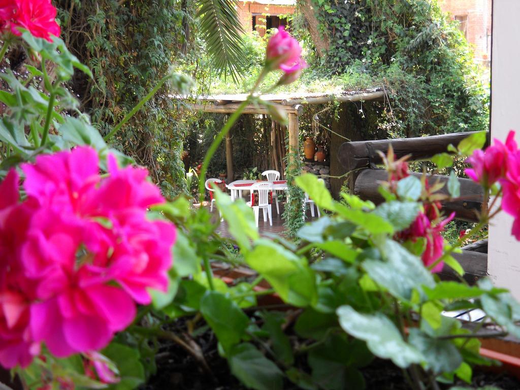 Hosteria Pascana San Salvador de Jujuy Bagian luar foto