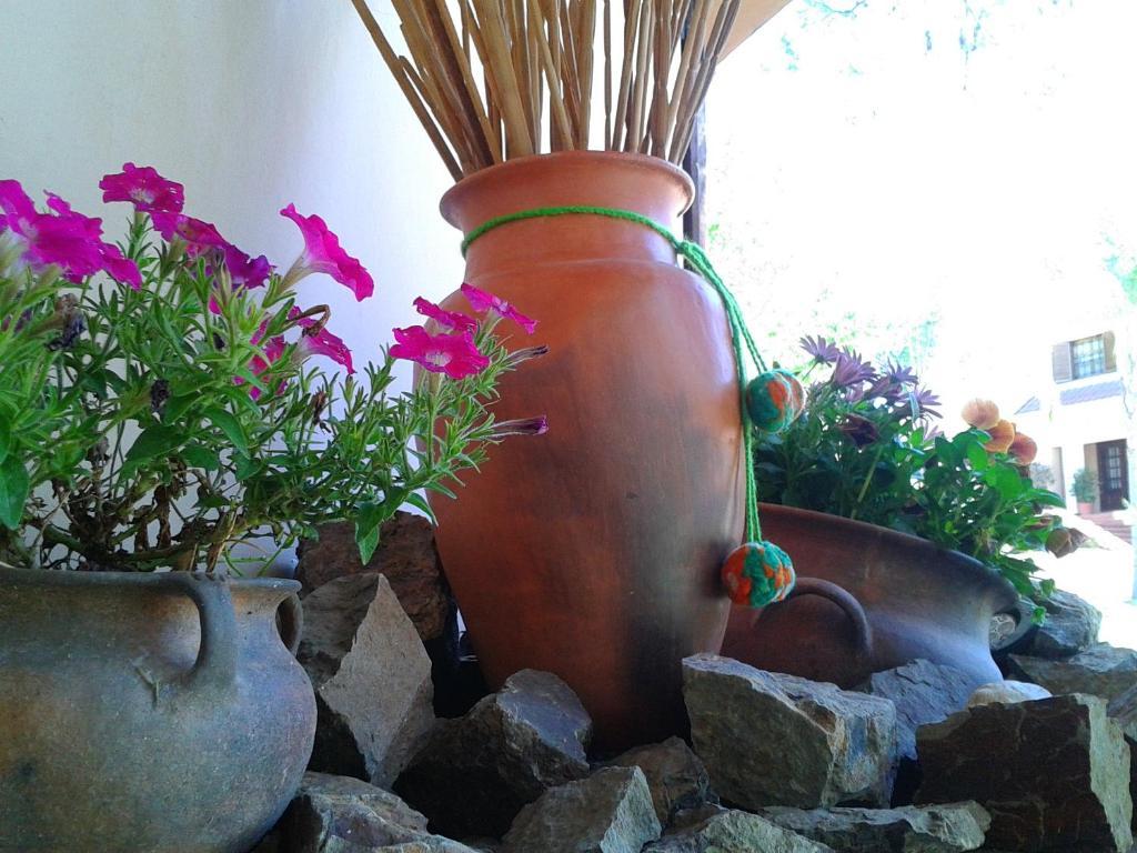 Hosteria Pascana San Salvador de Jujuy Bagian luar foto